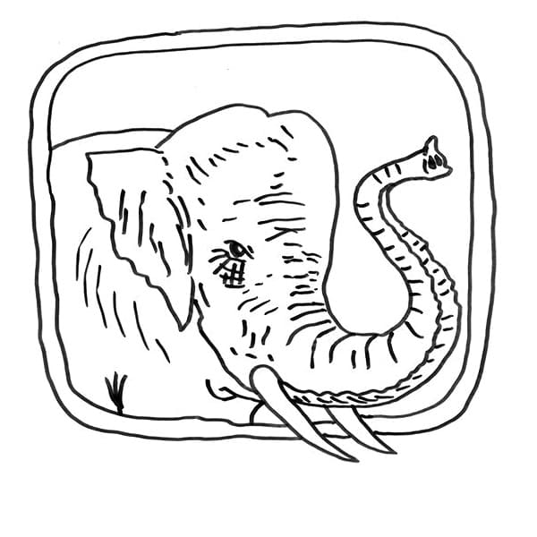 Elephant’s Drawing coloring page 