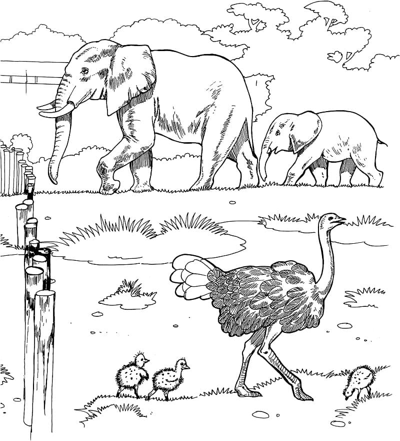 Elephants in a Zoo coloring page 