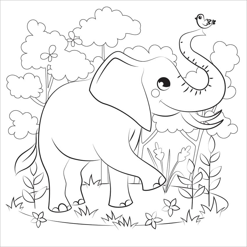 Happy Elephant and Bird coloring page 