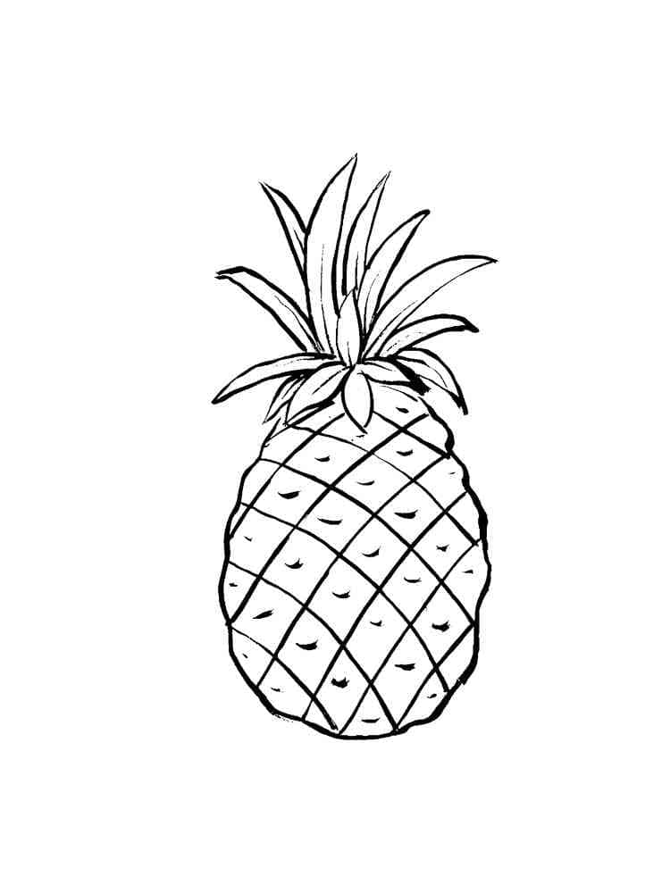 Immagine di ananas da colorare