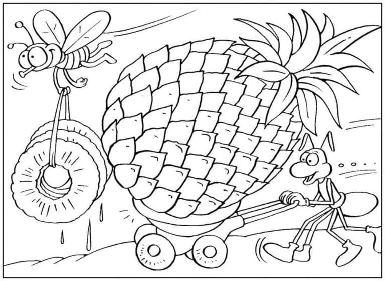 Insetti e ananas da colorare