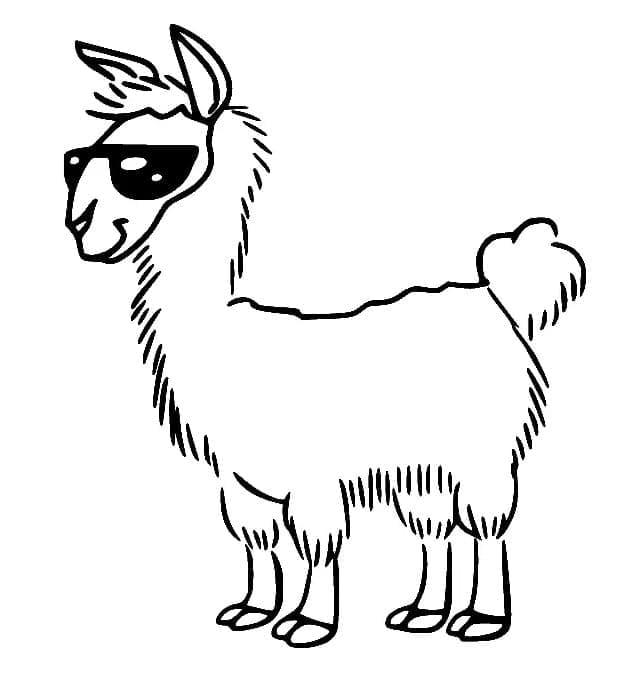 Lama con occhiali da sole da colorare
