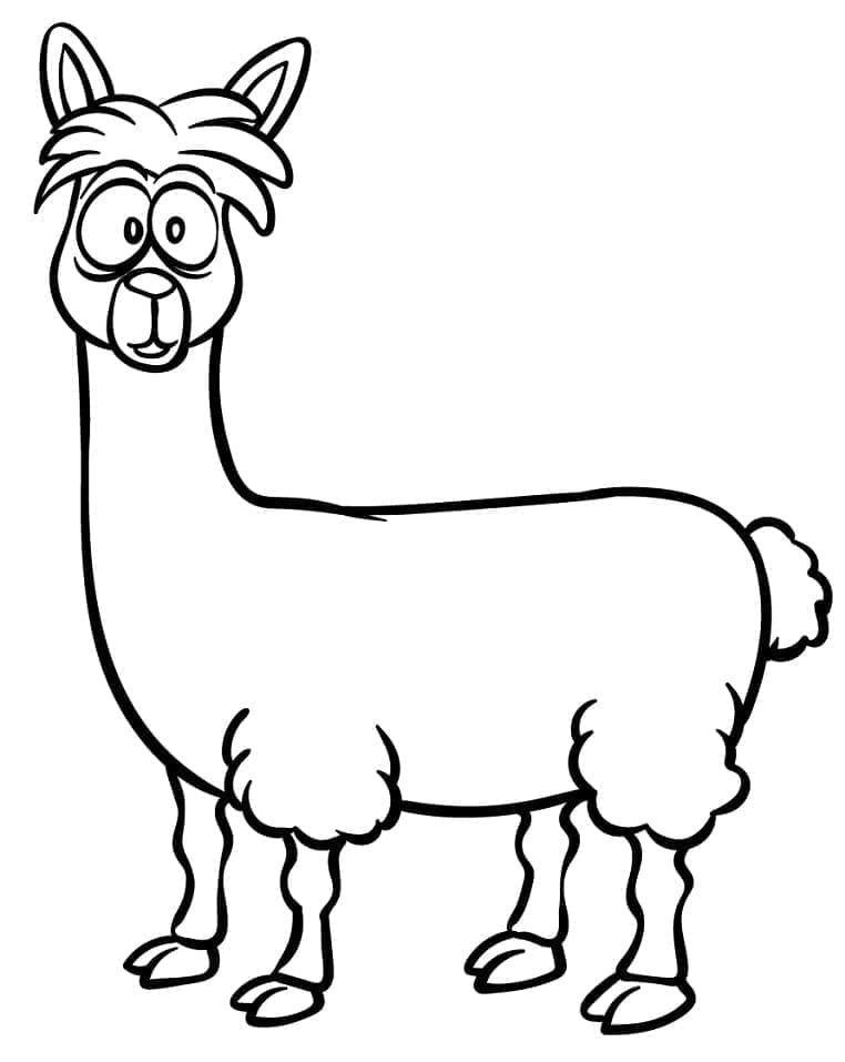 Lama divertente da colorare
