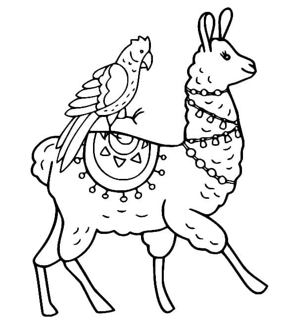 Lama e pappagallo da colorare
