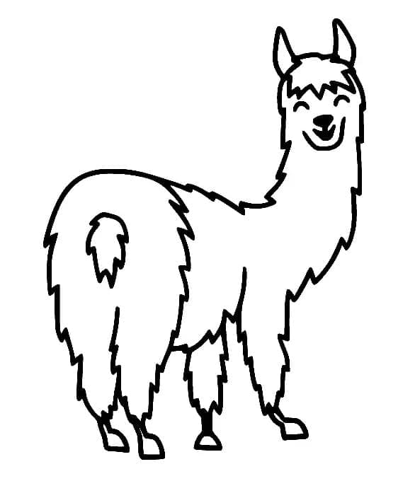 Lama molto felice da colorare
