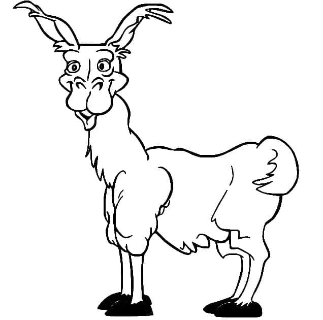 Lama pazzo da colorare