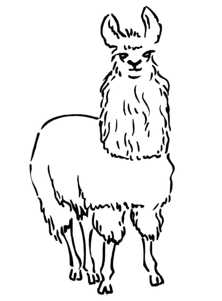 Lama stampabile per bambini da colorare