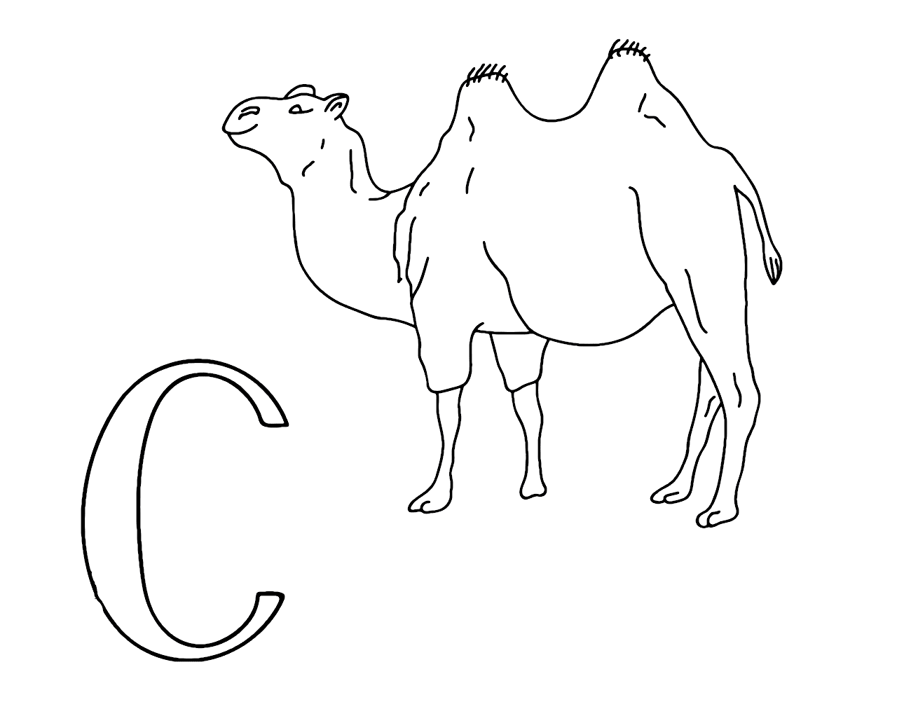 Lettera C per cammello da colorare