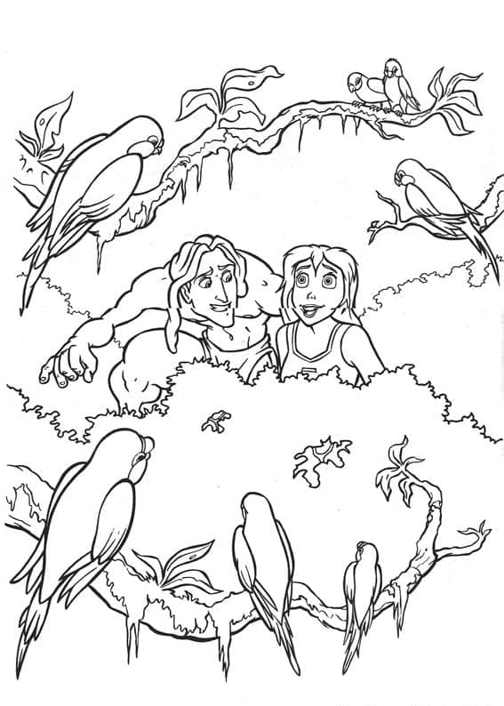 Liberate Tarzan e Jane da colorare