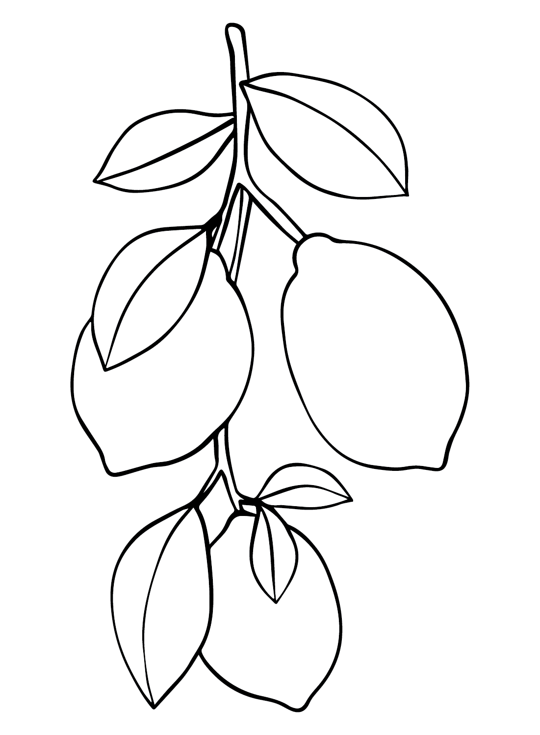 Limoni ramificati da colorare