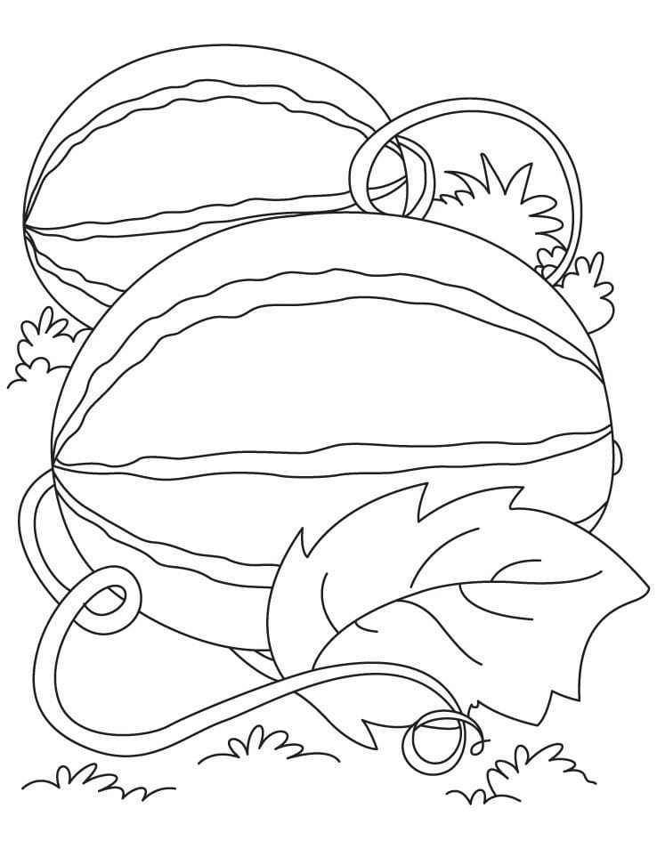 Melancia para colorir 