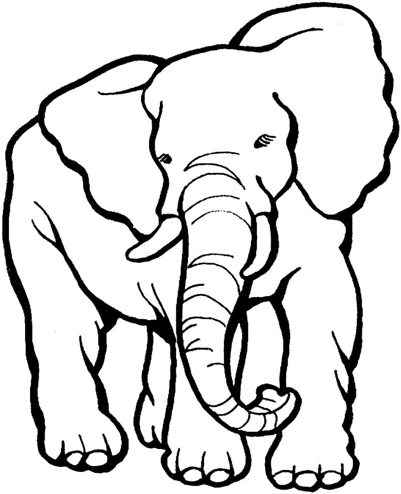 Normal Elephant coloring page 