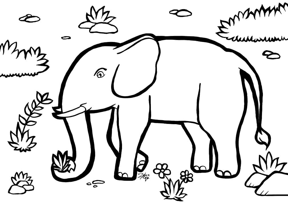 Printable Elephant coloring page 