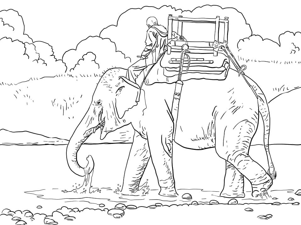 Riding Elephant coloring page 