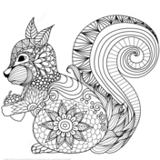 Scoiattolo Adorabile Zentangle 