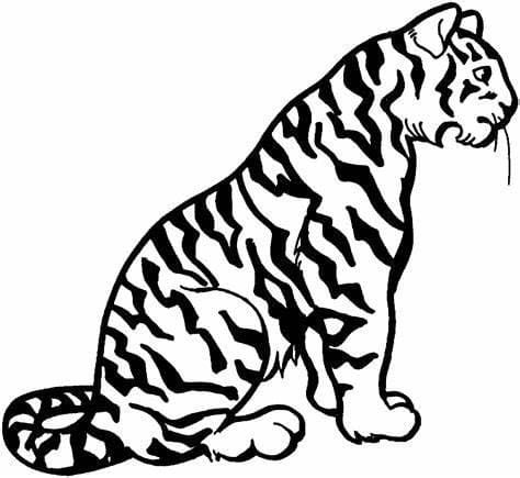 Stampa l'immagine della tigre da colorare