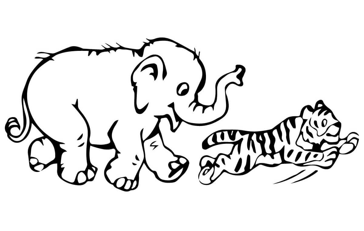 Tiger and Elephant coloring page 