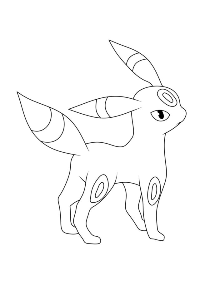 Umbreon Eevee Pokémon 