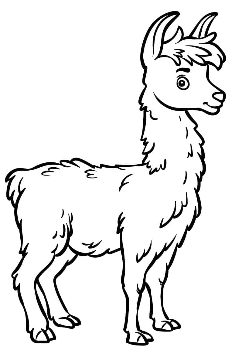 Un lama dei cartoni animati da colorare