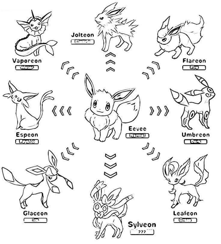 Varietà di evoluzioni di Eevee. 