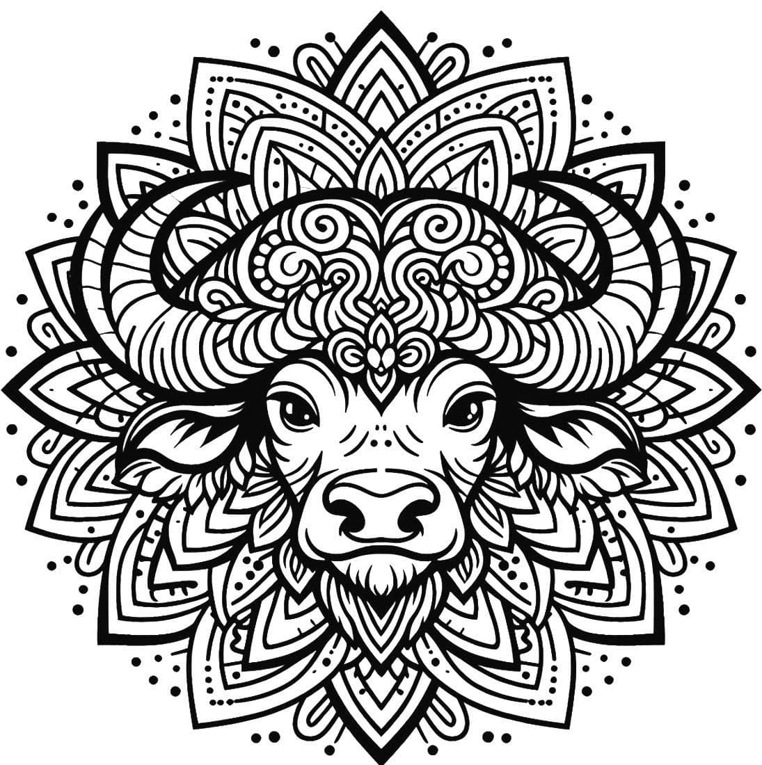 Zentangle faccia di bufalo da colorare