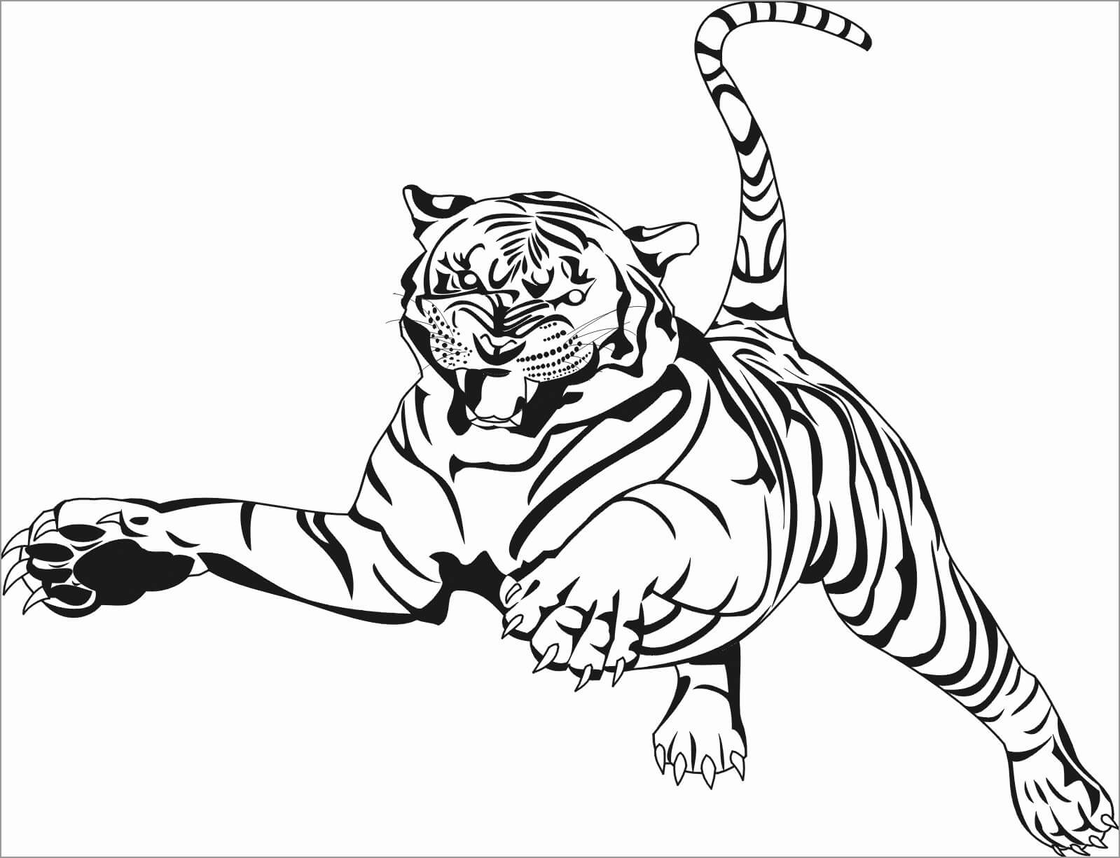 Desenhos de Ataque de Tigre Irritado para colorir