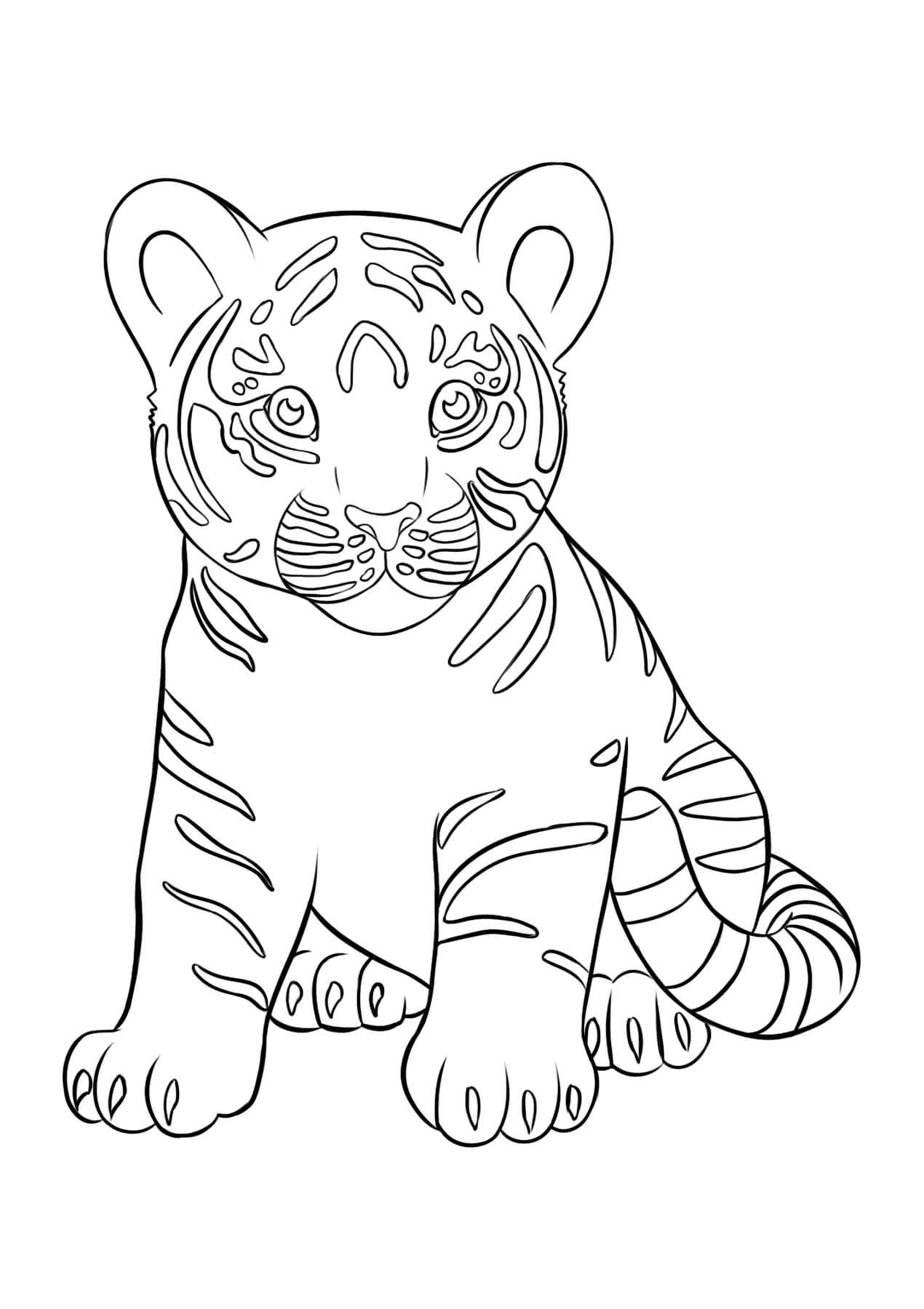 Desenhos de Bebê Tigre Sentado para colorir