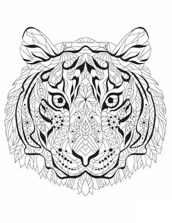 Desenhos de Cabeça de Tigre é para Adulto para colorir