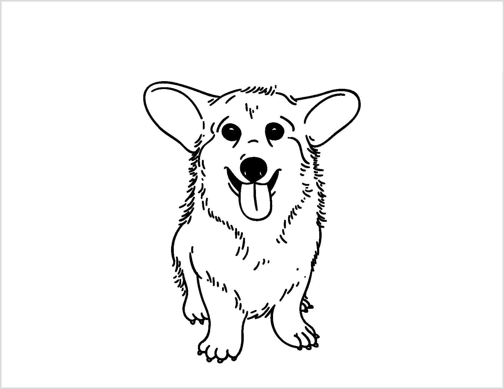 Desenhos de Cachorrinho Corgi para colorir