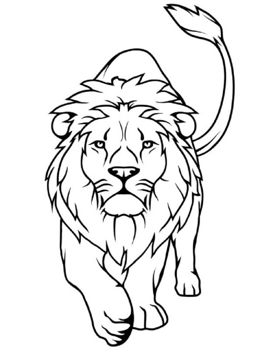 Desenhos de Caminhada Legal do Leão para colorir
