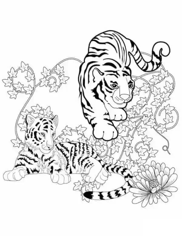 Desenhos de Dois Tigres com Flores para colorir