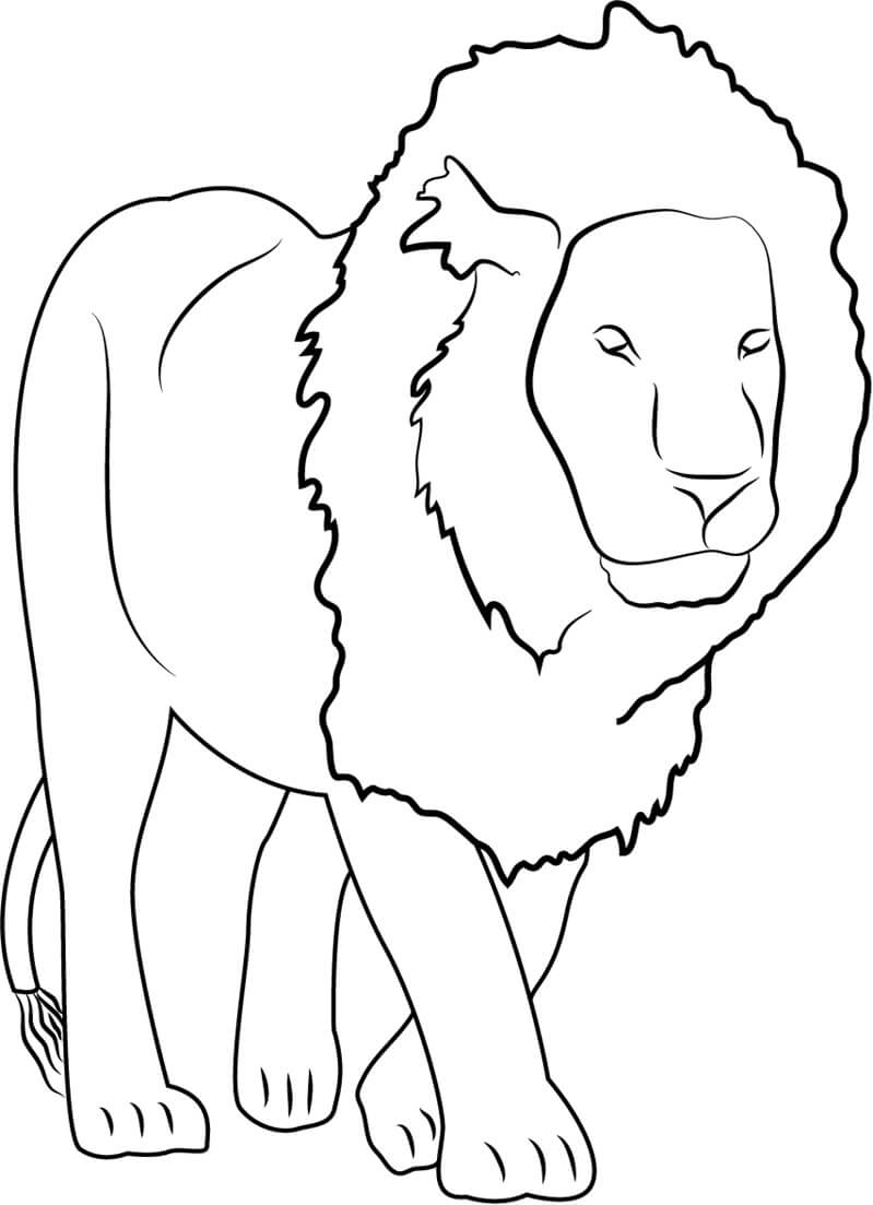 Fácil Leão para colorir