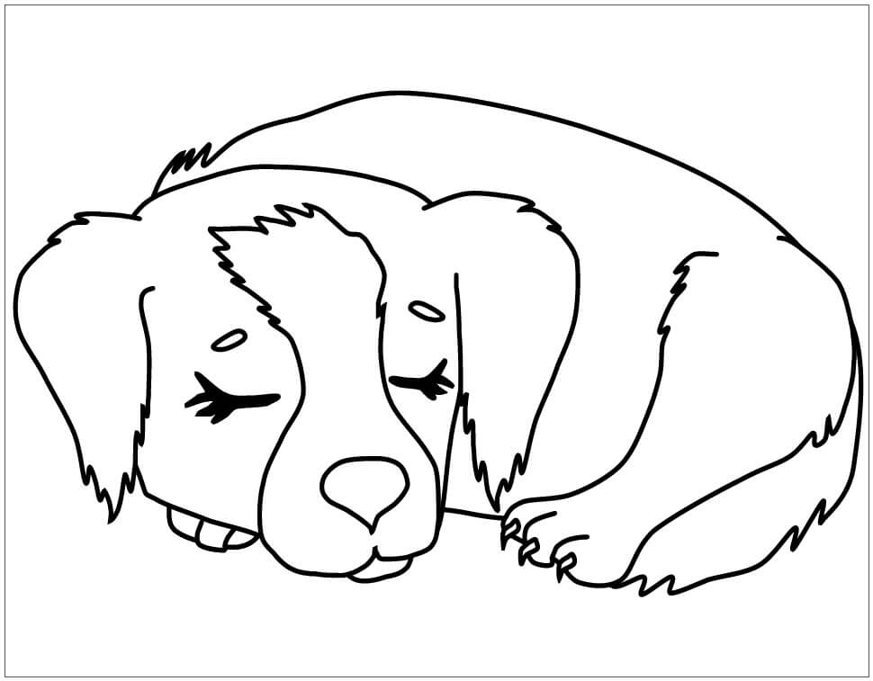 Desenhos de Filhote de Cachorro Dormindo para colorir