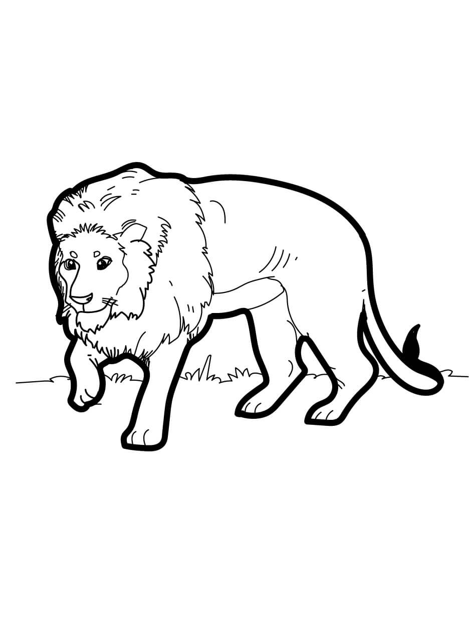 Desenhos de Leão Básico para colorir