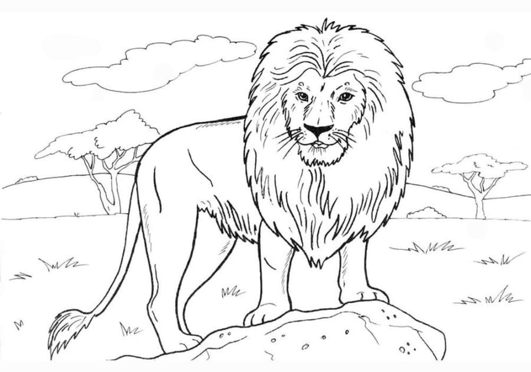 Desenhos de Leão em Pé na Rocha para colorir
