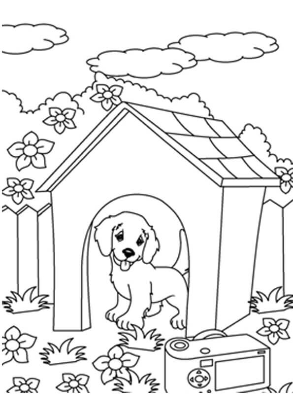 Desenhos de O Cachorro Esta na Jaula para colorir