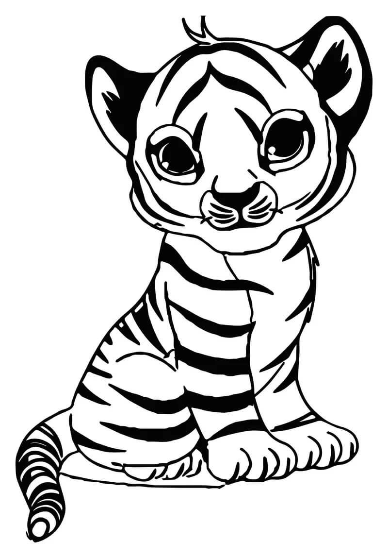 Pequeno Tigre Sentado para colorir