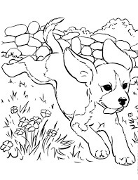Desenhos de Pulo de Cachorro para colorir