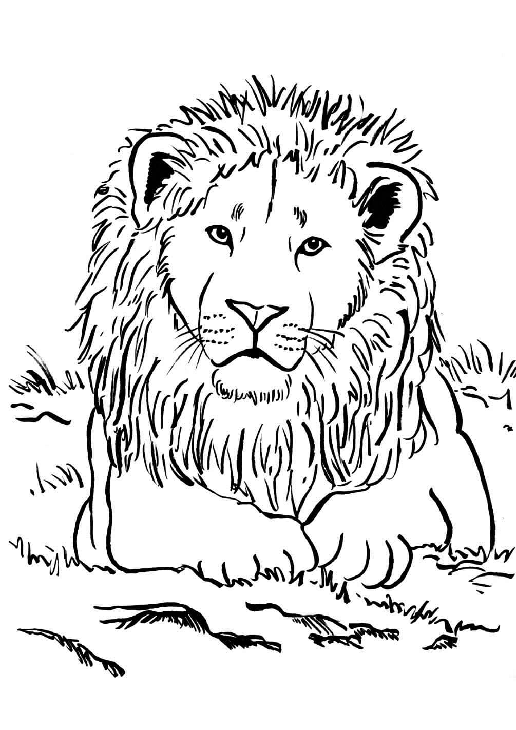 Retrato de Leão para colorir