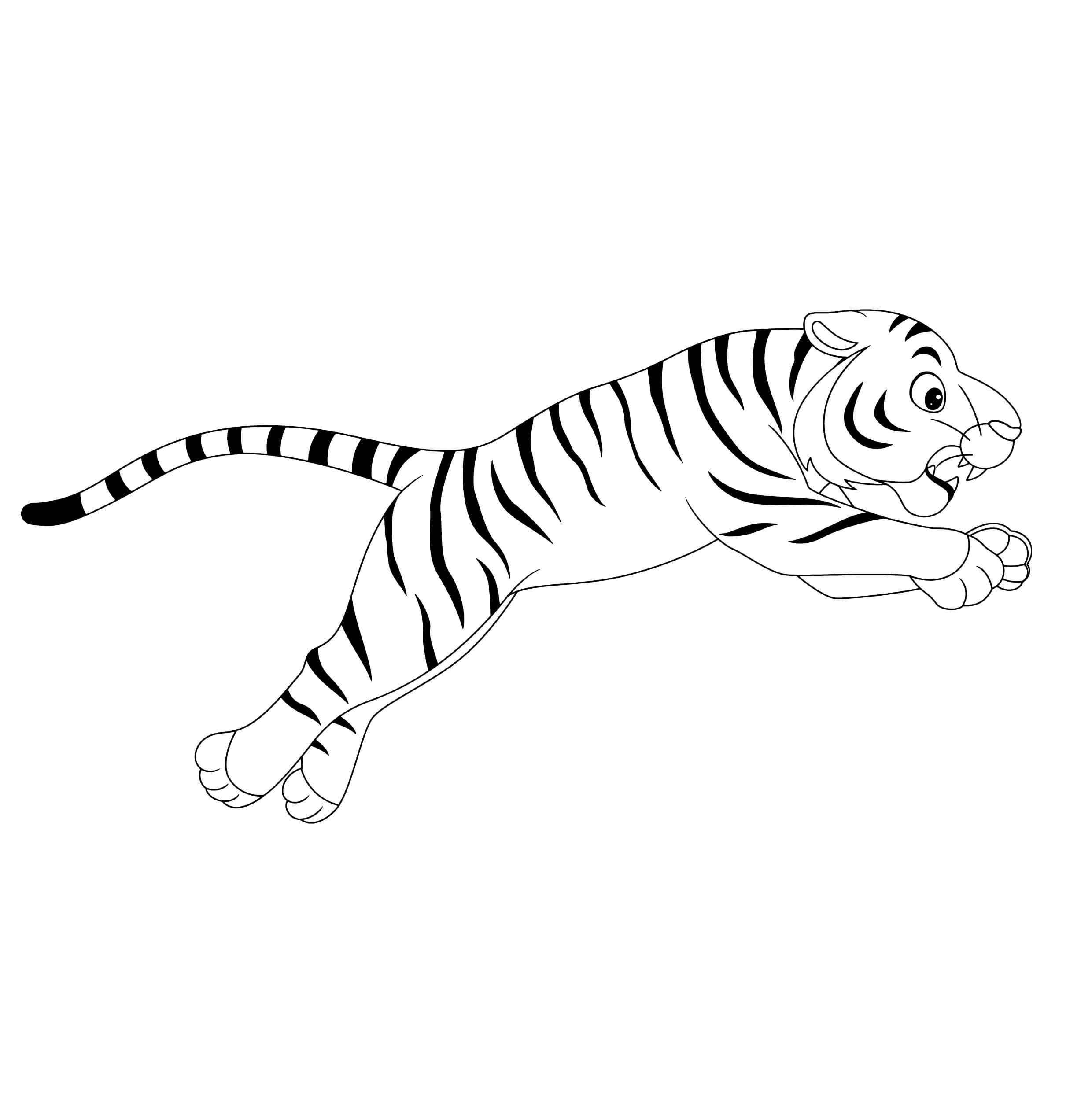 Salte Tigre para colorir
