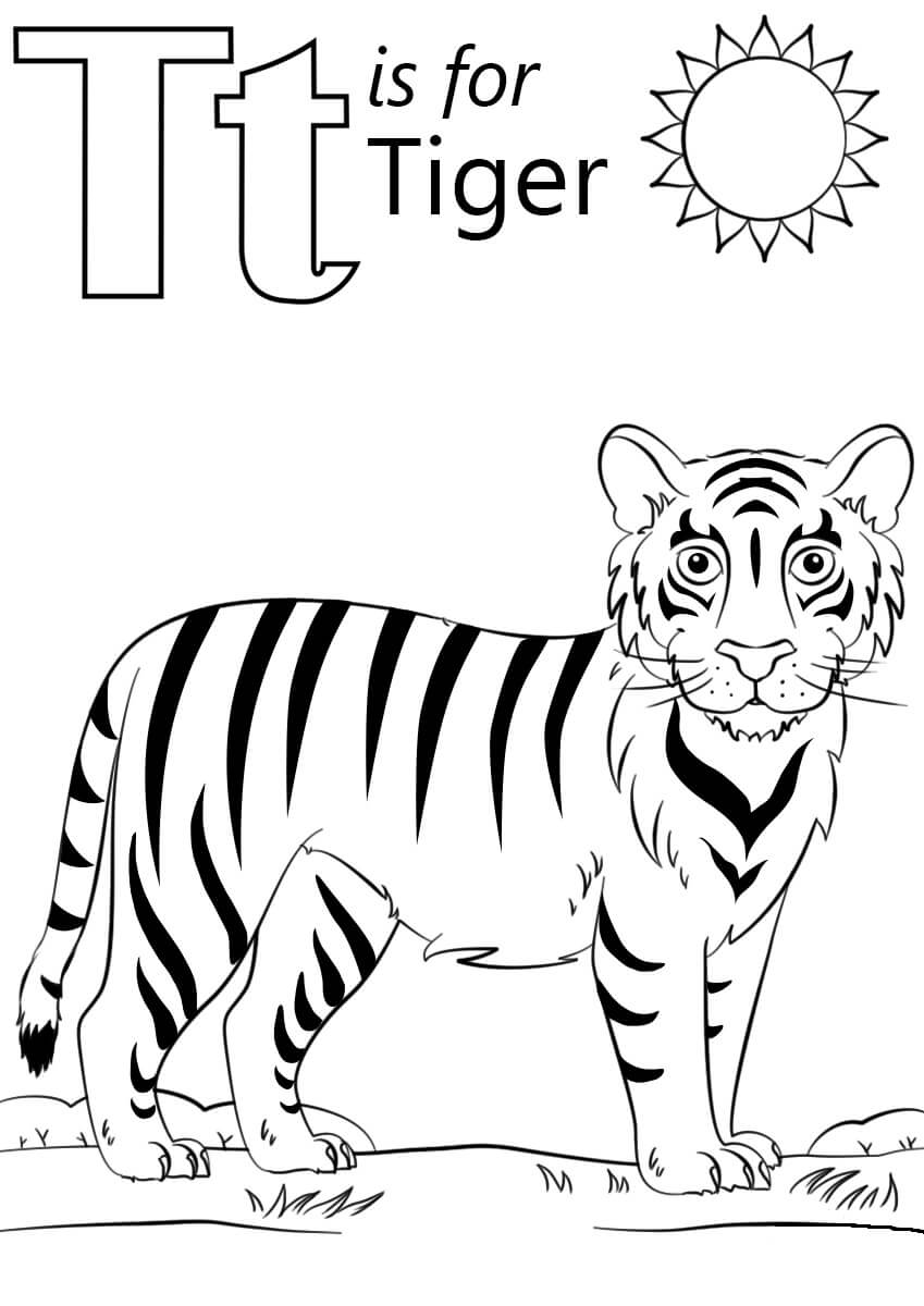 T é para Tigre para colorir