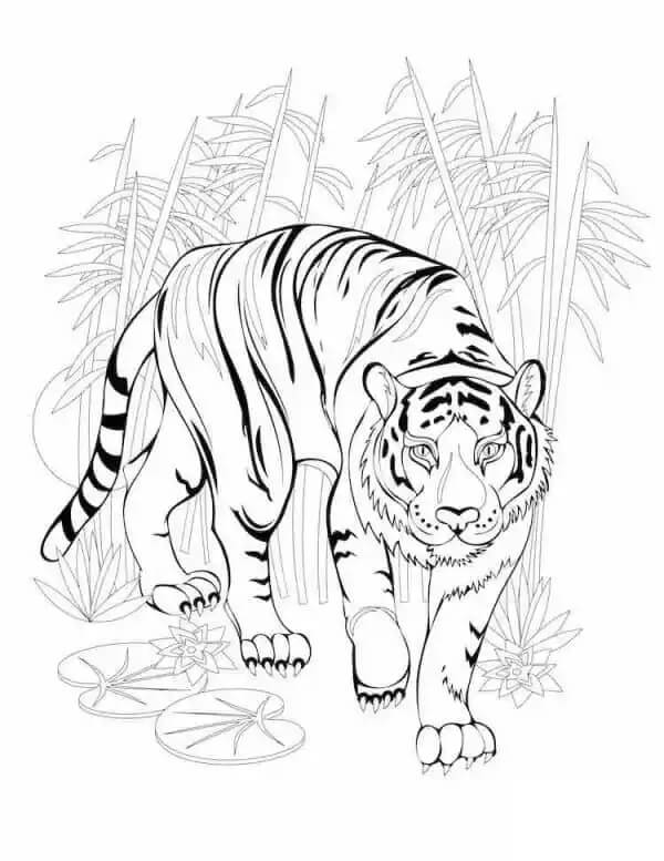 Desenhos de Tigre Andando com Árvores para colorir