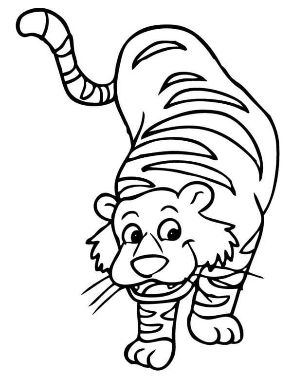 Desenhos de Tigre Engraçado para colorir