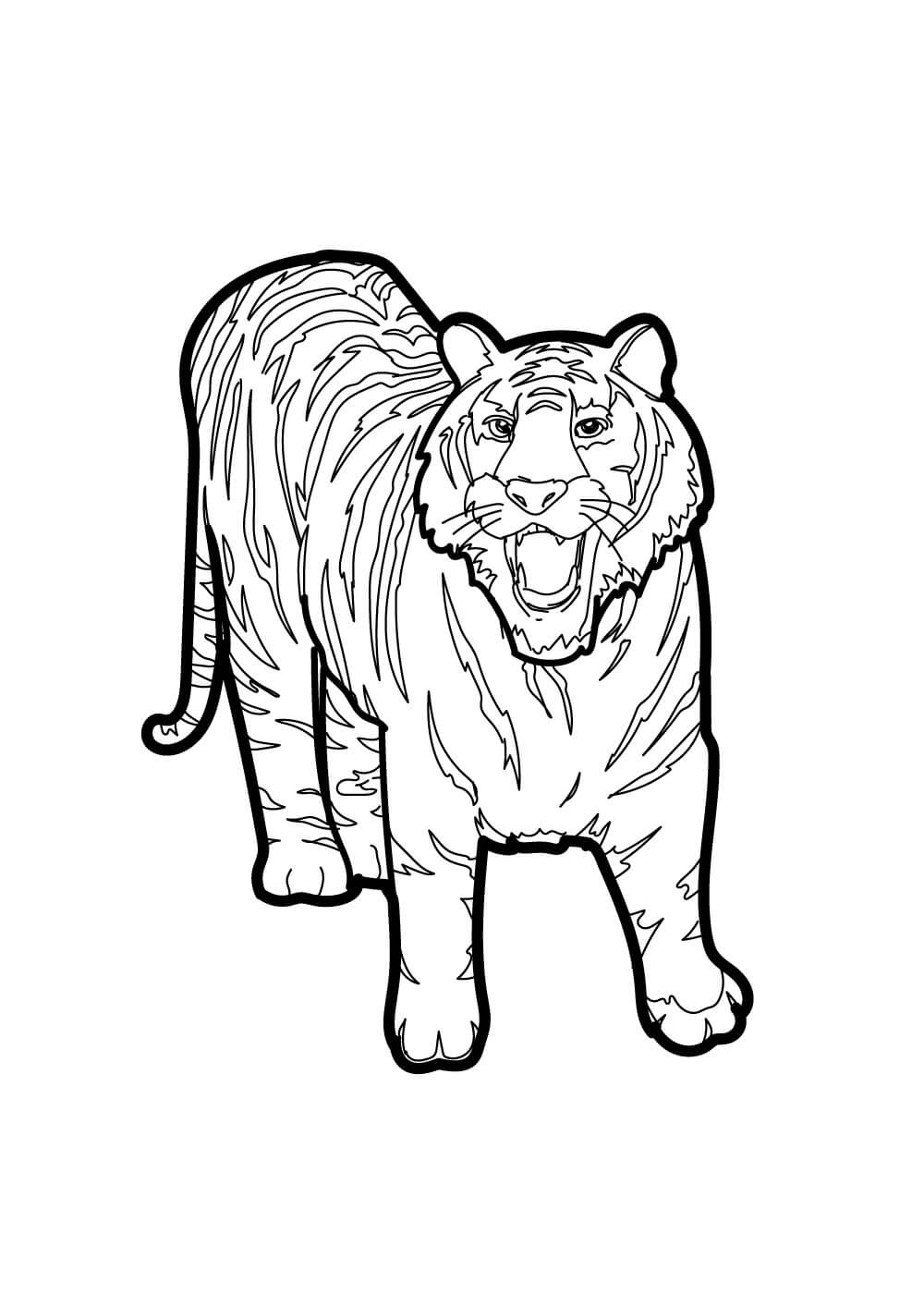 Desenhos de Tigre Imprimível para colorir