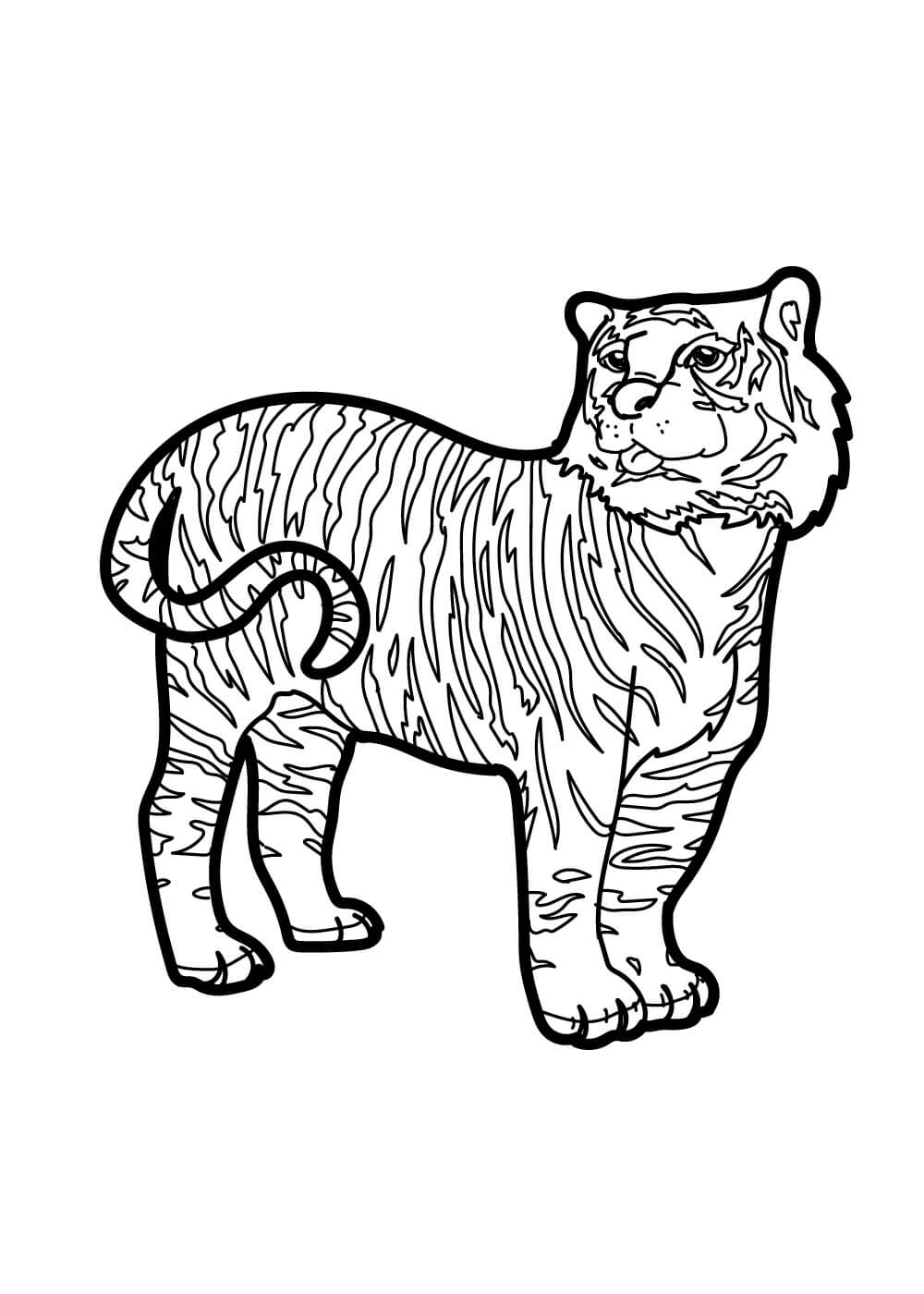Desenhos de Tigre Normal para colorir