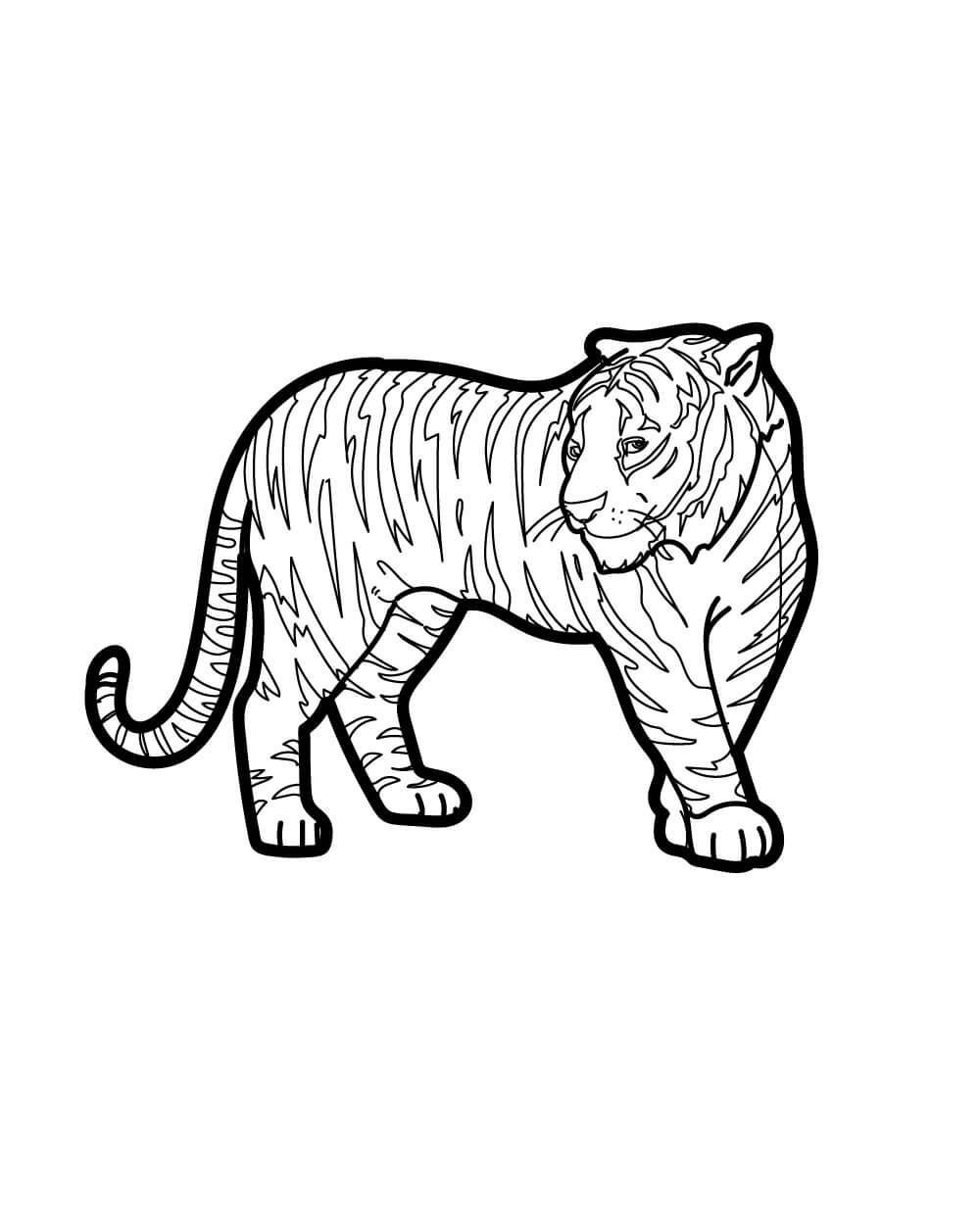 Desenhos de Tigre Simples para colorir