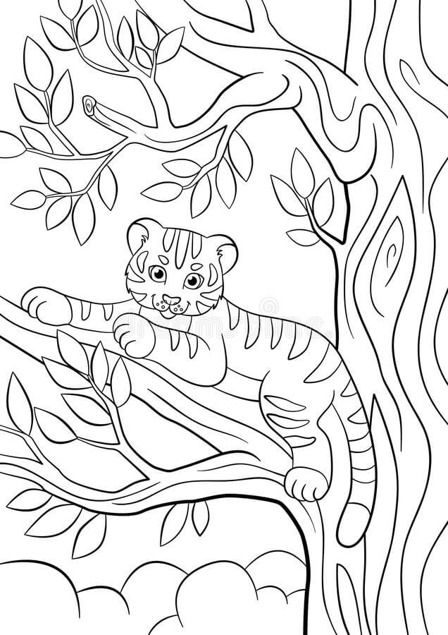 Desenhos de Tigre na Árvore para colorir