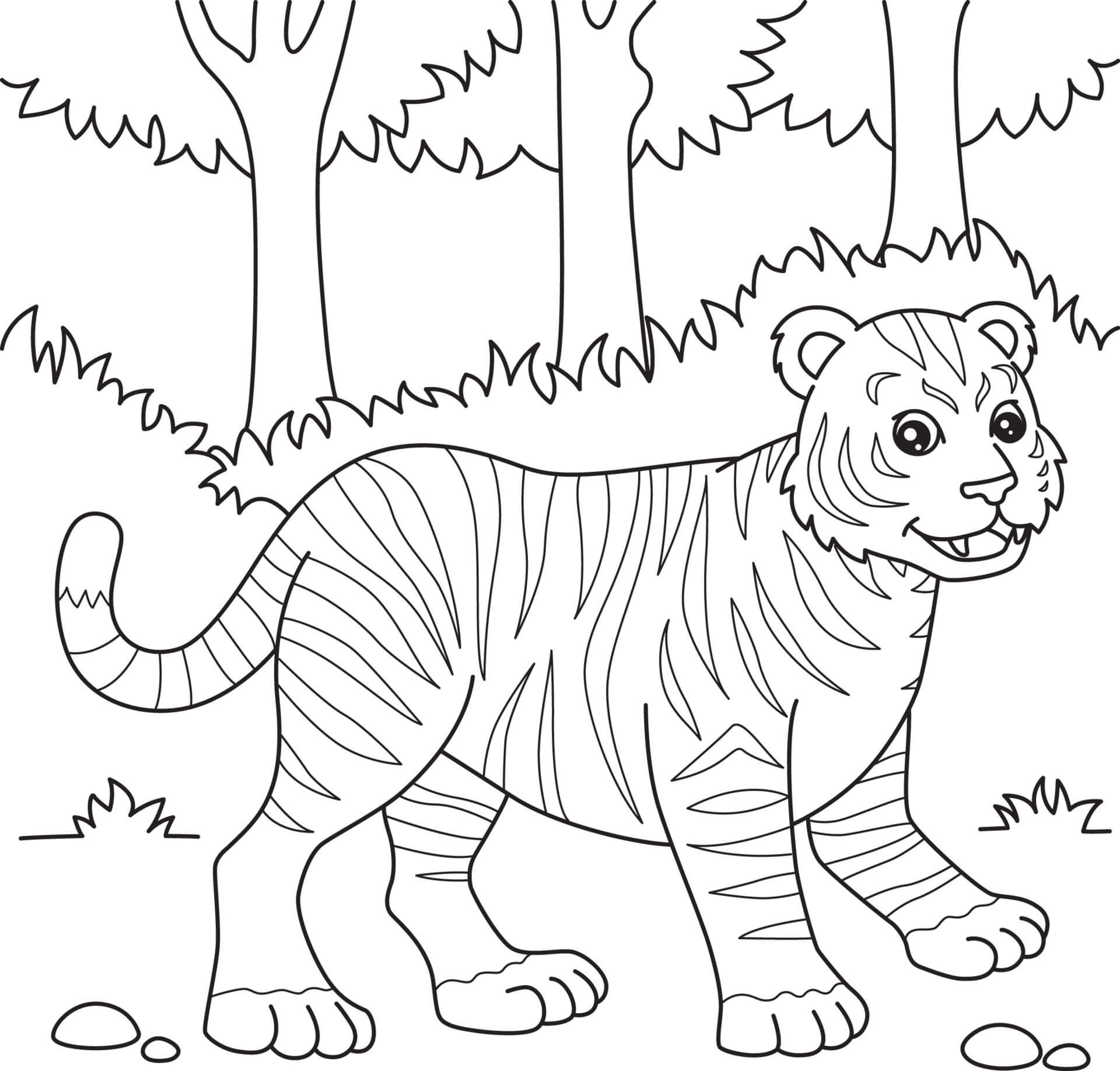 Desenhos de Tigre na Selva para colorir