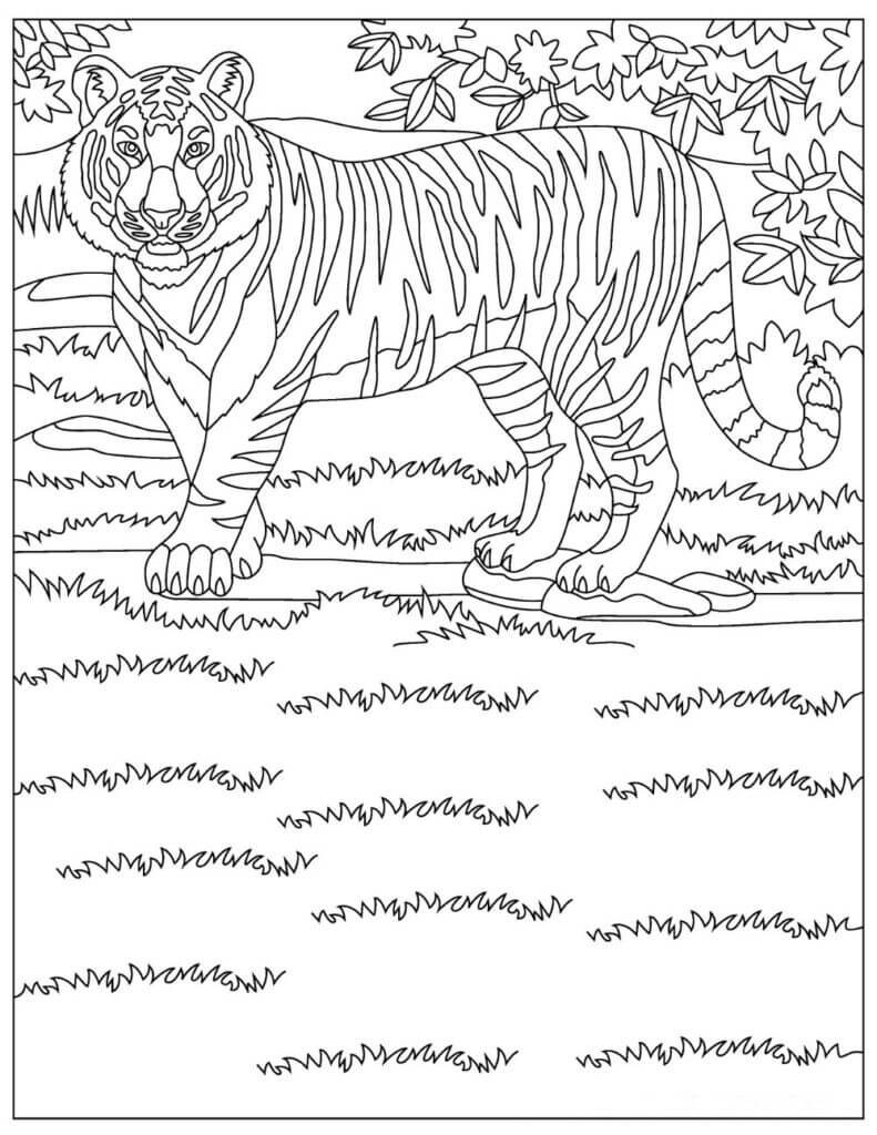Tigre nas Estepes para colorir