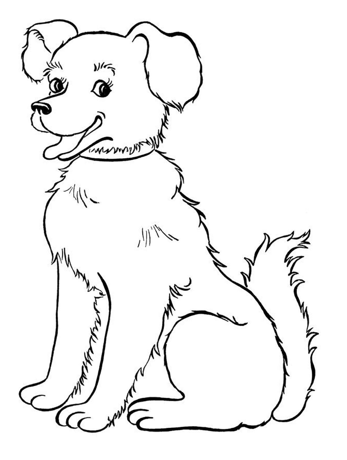 Desenhos de Cachorro da Beleza para colorir